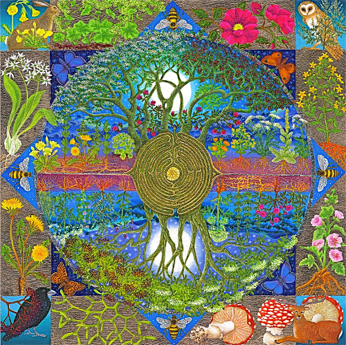 Nature Based Life Coaching design