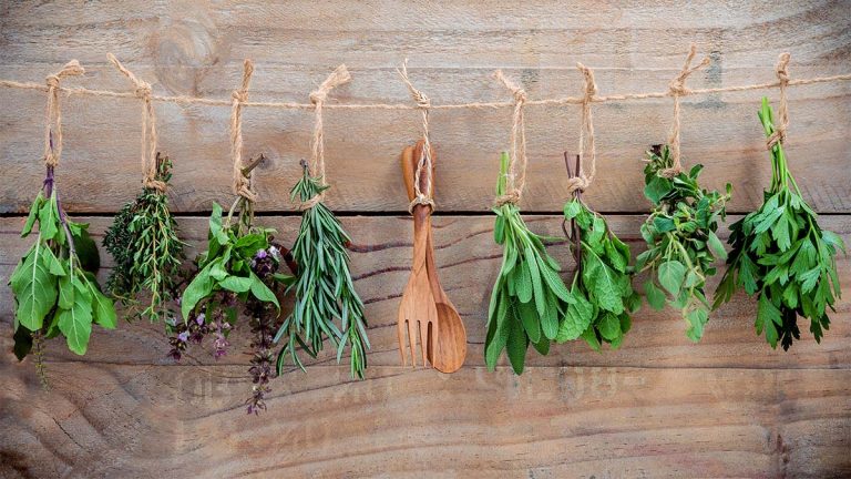 Hanging herbs