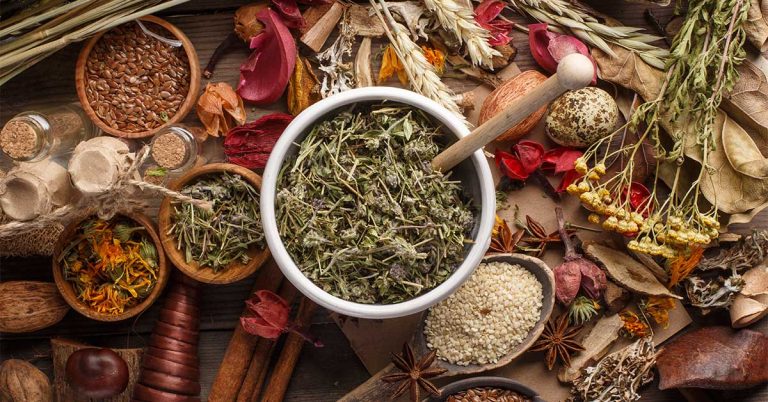 herbal paradise herbs